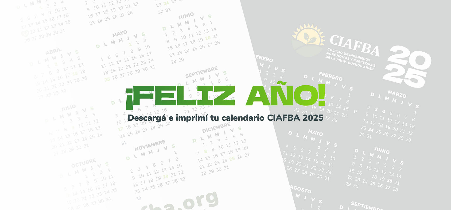 Calendario CIAFBA 2025