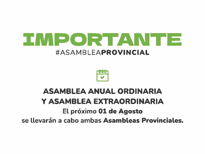 Asamblea Provincial 2026