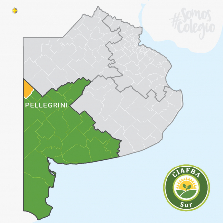 RECORRIDO VIRTUAL POR RS: PELLEGRINI