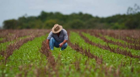 Los agrónomos 2.0: Cambios que impulso el nuevo contexto y que marcarán nuevas formas de trabajo en el sector